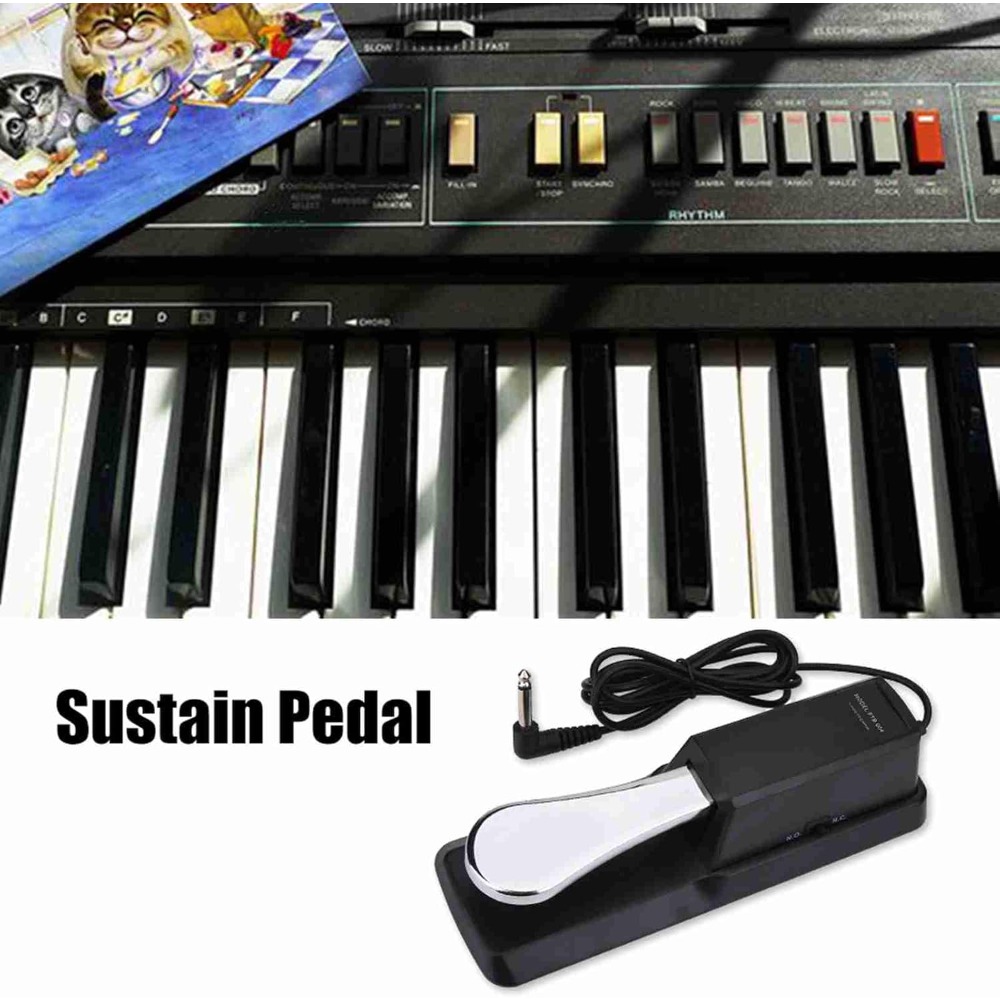 Digital Piano Sustain Pedal Ad – Piano Sustain Pedal Bewertung und Preis