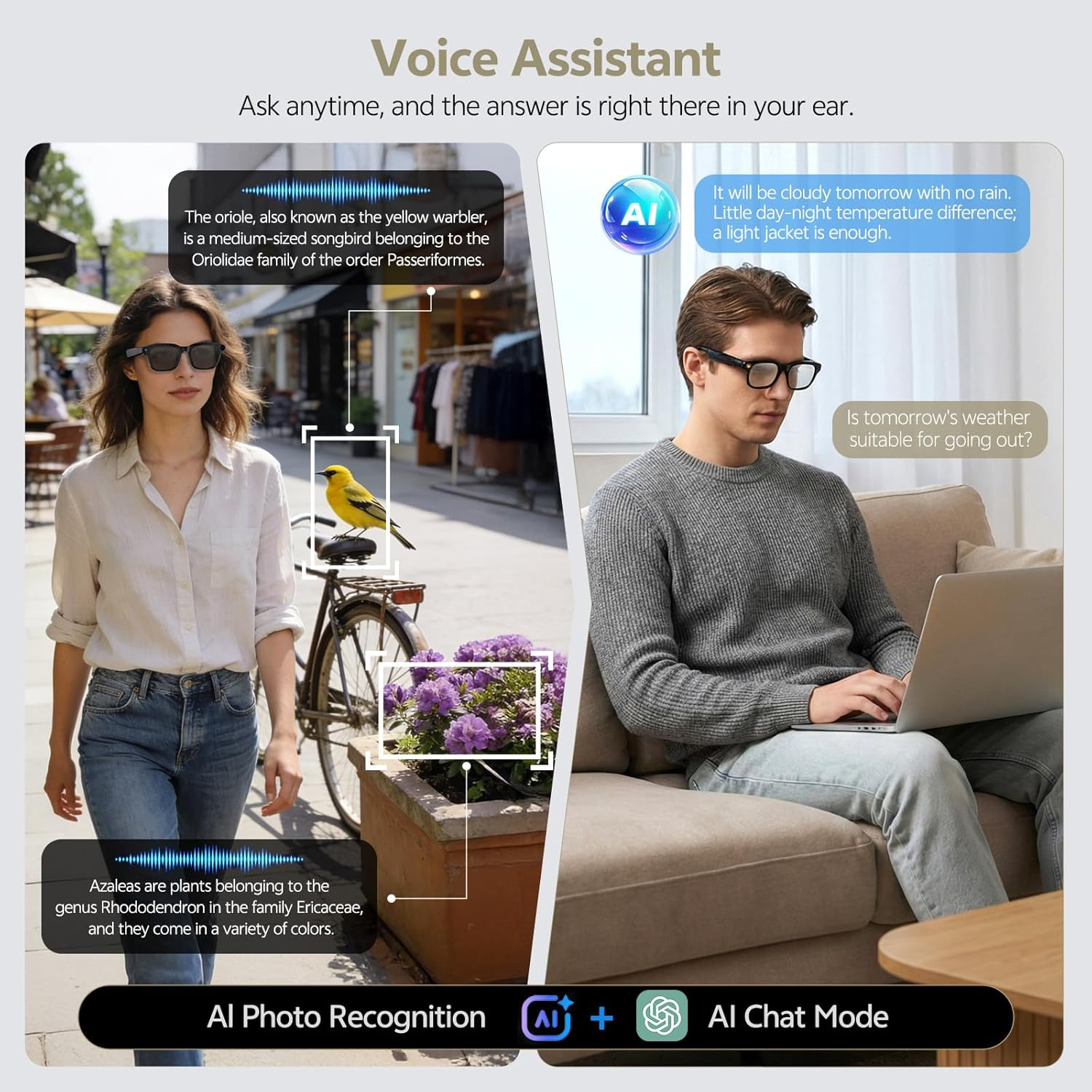 2026 New Camera Glasses 1080P  – Audio Music To Video Ai Bewertung und Preis