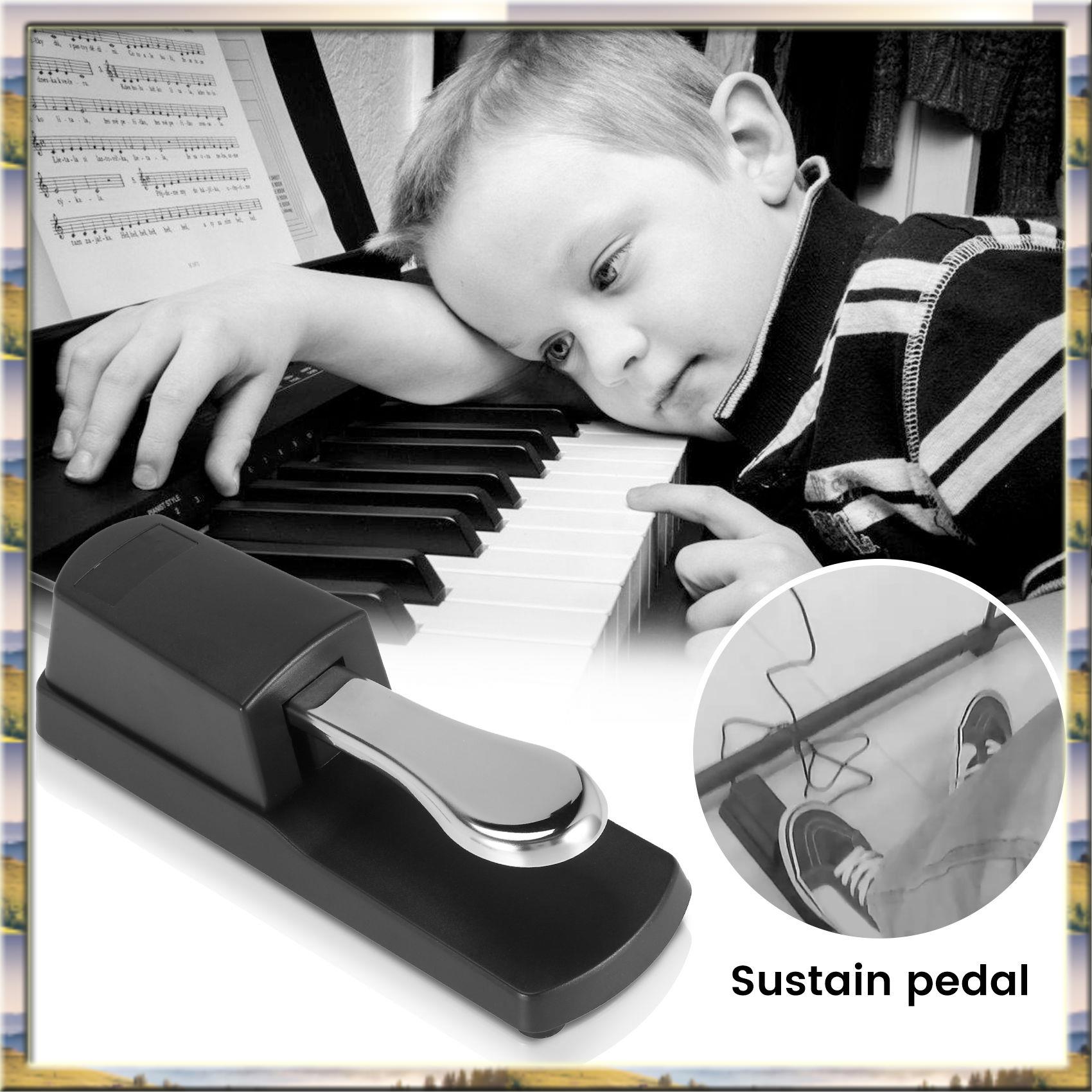 Y30A Upgrade Sustain Damper Pe – Piano Sustain Pedal Bewertung und Preis